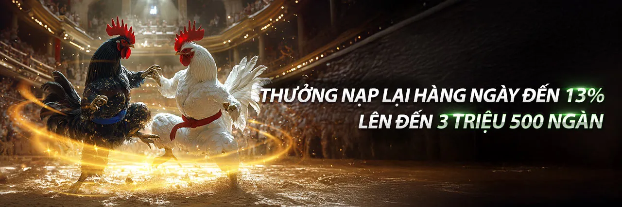 Đá Gà Đứt Đầu – Trải nghiệm cá cược đá gà trực tuyến đỉnh cao tại BigBet Casino