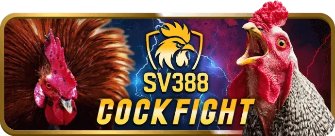 Hình ảnh tượng trưng cho các quy định về tài khoản thành viên tại Bigbet Casino.